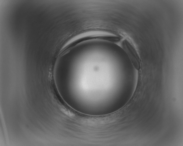 X0000069790017200605261708