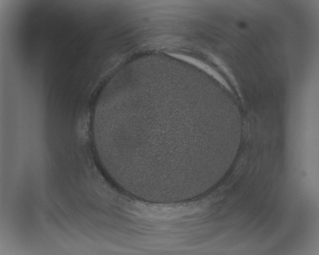 X0000069790018200605261708