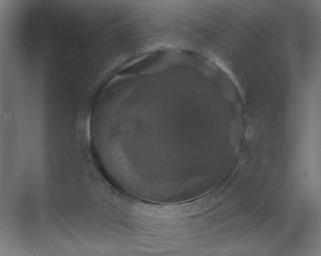 X0000069790019200605261708