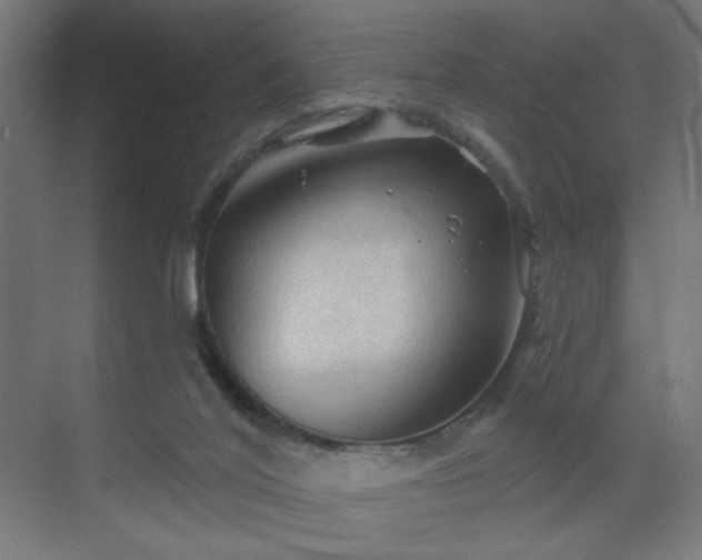 X0000069790020200605261708