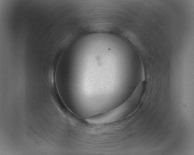 X0000069790021200605261708