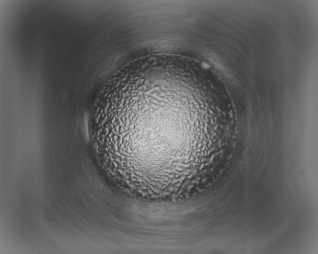 X0000069790022200605261708