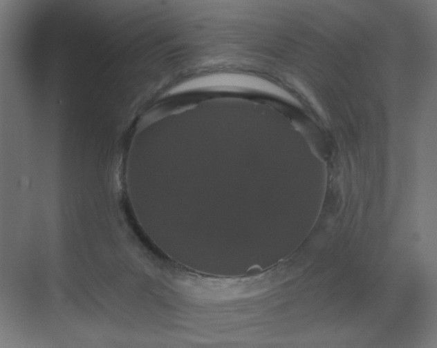 X0000069790023200605261708