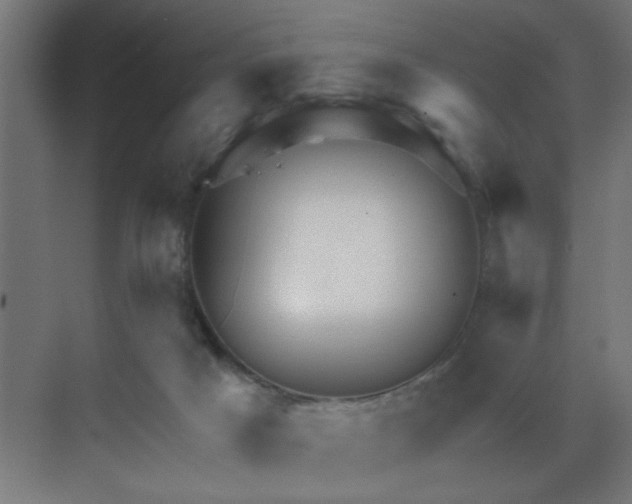 X0000069790025200605261708