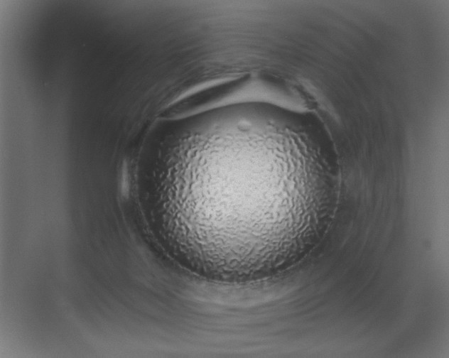 X0000069790026200605261708