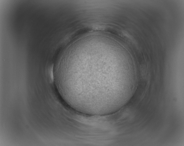 X0000069790028200605261708