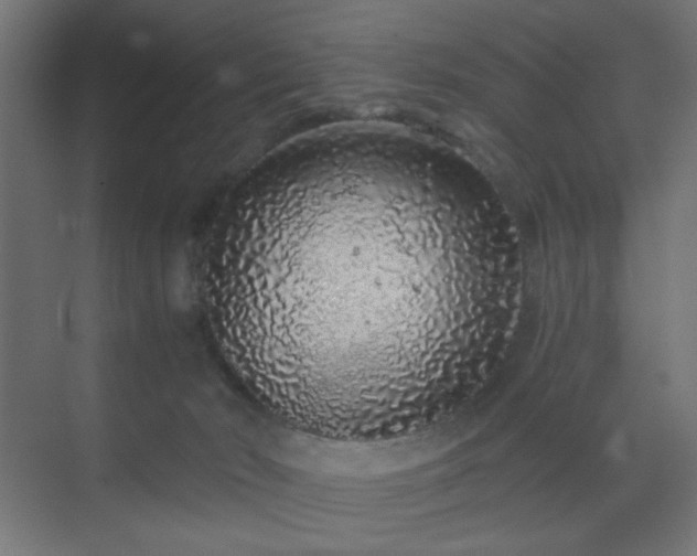 X0000069790030200605261708