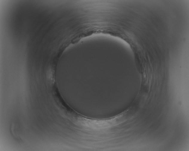 X0000069790031200605261708