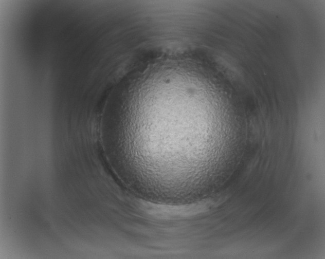 X0000069790034200605261708