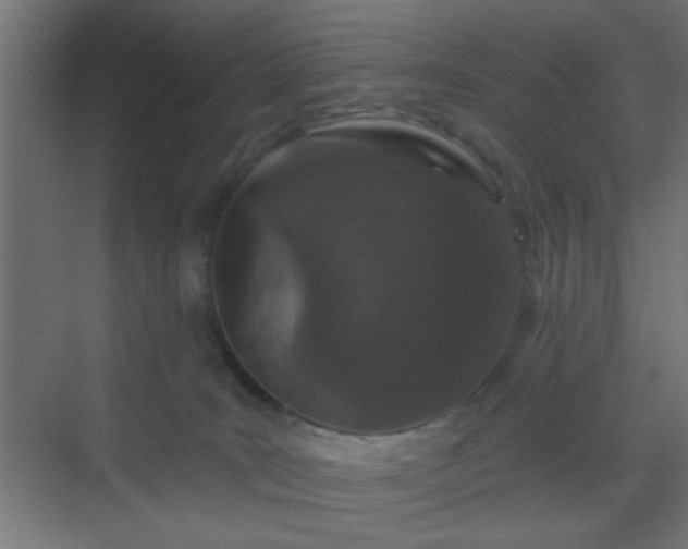 X0000069790035200605261708