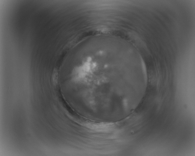 X0000069790036200605261708