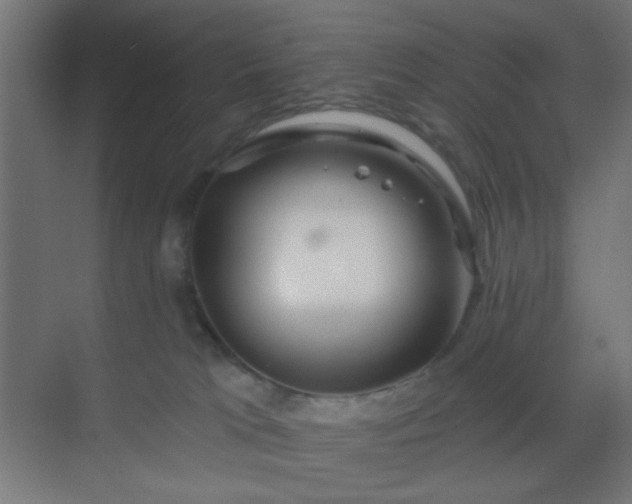 X0000069790037200605261708