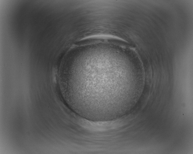 X0000069790038200605261708