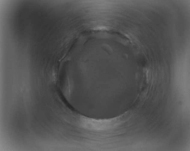 X0000069790039200605261708