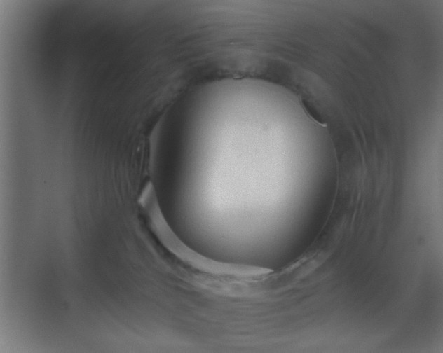 X0000069790040200605261708