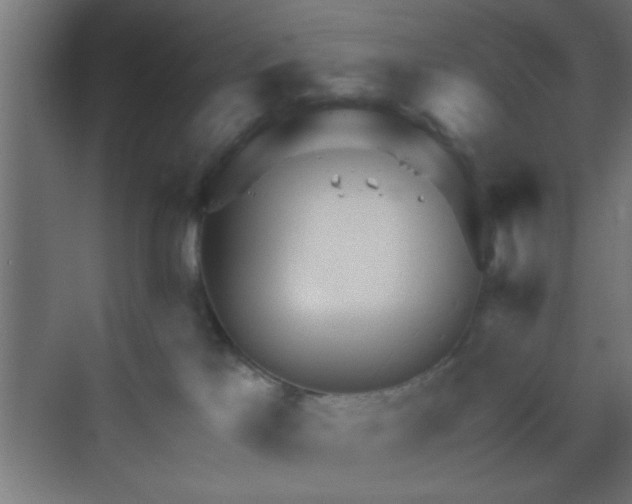 X0000069790041200605261708