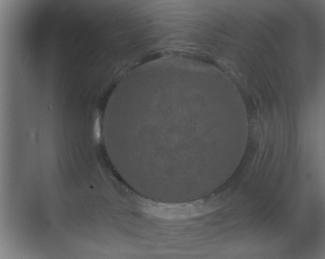 X0000069790042200605261708