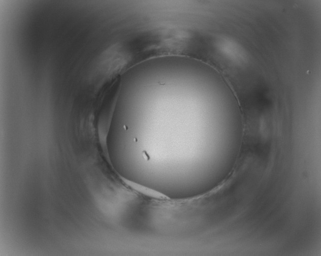 X0000069790045200605261708