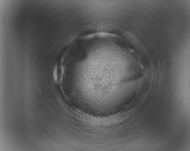 X0000069790046200605261708