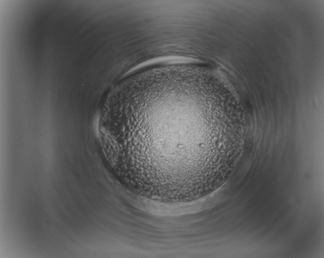 X0000069790047200605261708