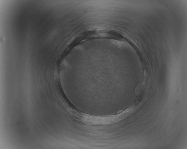 X0000069790048200605261708