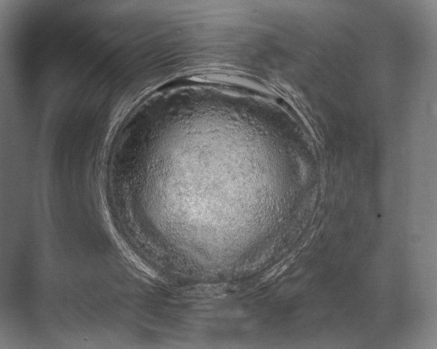 X0000069790049200605261707