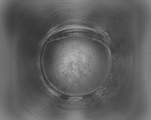 X0000069790051200605261707