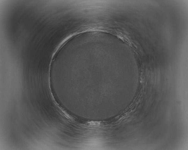 X0000069790052200605261707