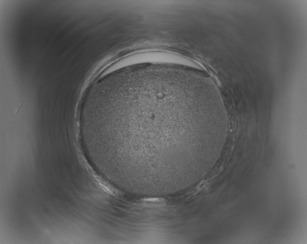 X0000069790053200605261707