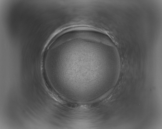 X0000069790056200605261707