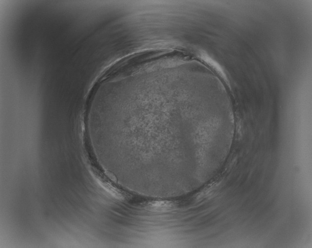 X0000069790059200605261707