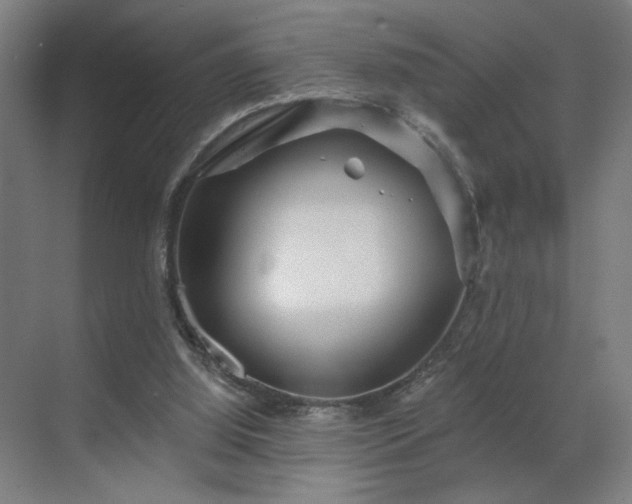 X0000069790060200605261707