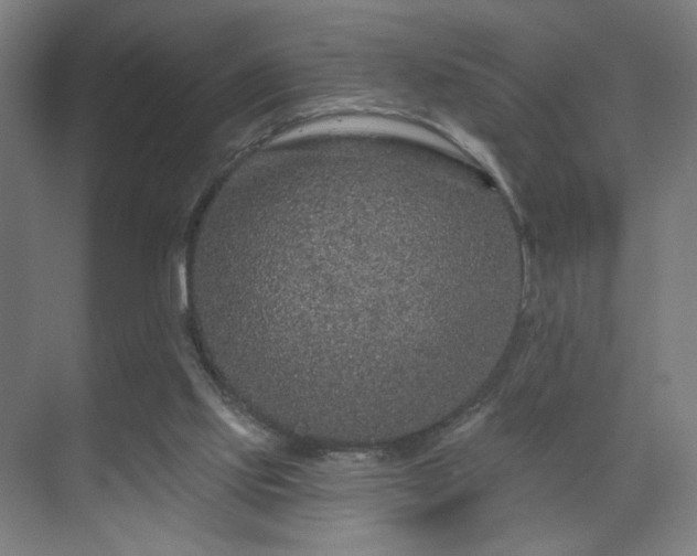 X0000069790061200605261707