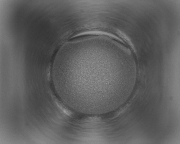 X0000069790065200605261707