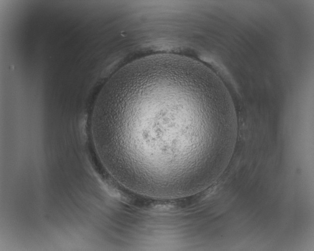 X0000069790066200605261707