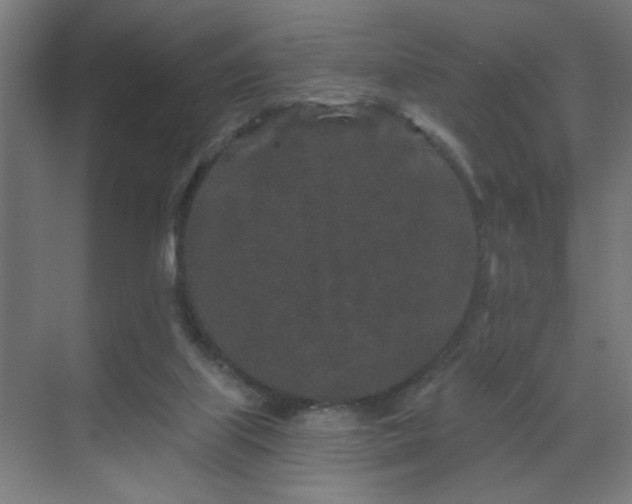 X0000069790067200605261707