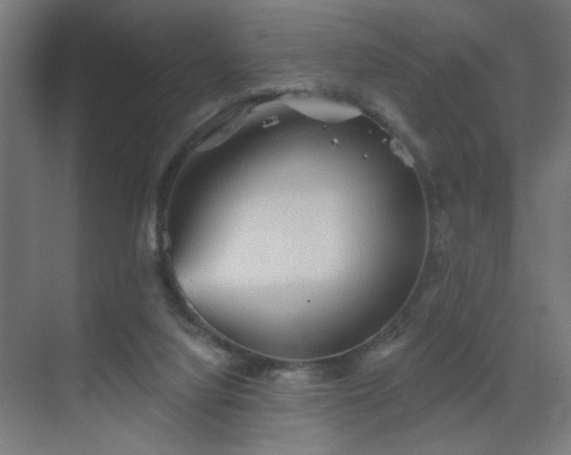 X0000069790068200605261707