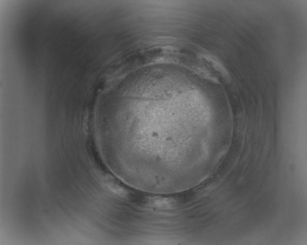 X0000069790073200605261707