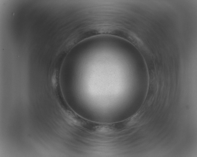 X0000069790074200605261707