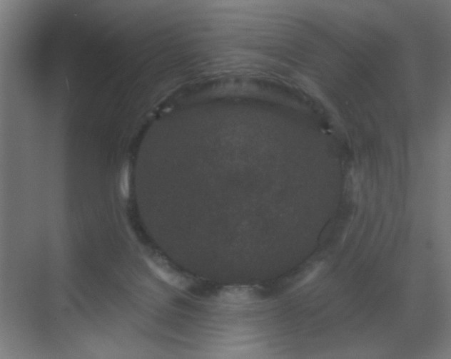 X0000069790076200605261707