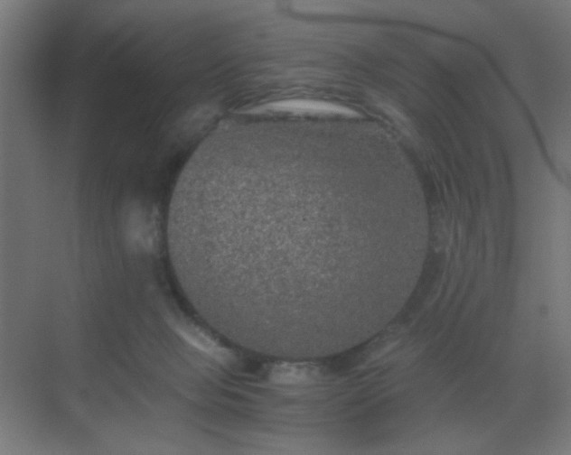 X0000069790077200605261708