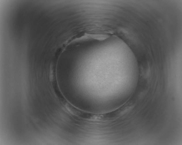 X0000069790080200605261708