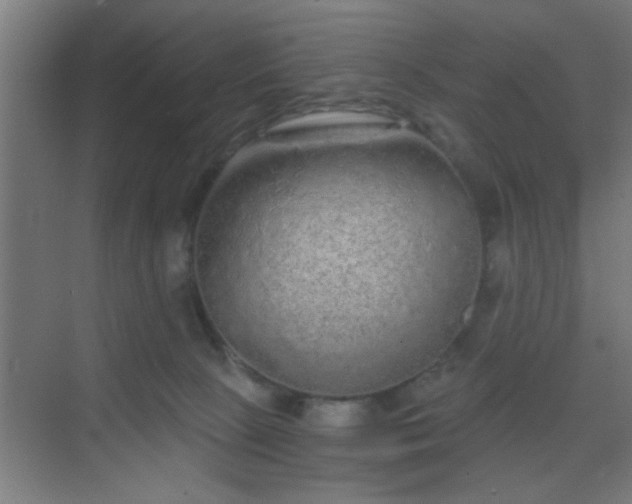 X0000069790081200605261708