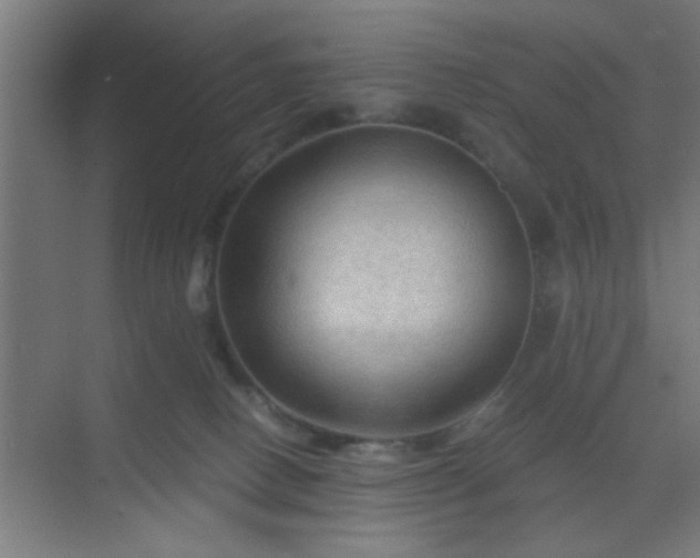 X0000069790082200605261708