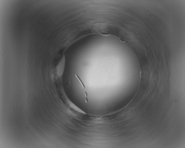 X0000069790083200605261708