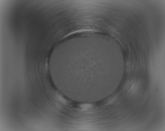 X0000069790085200605261708