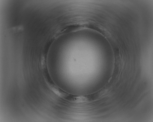 X0000069790087200605261708