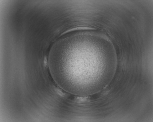 X0000069790089200605261708