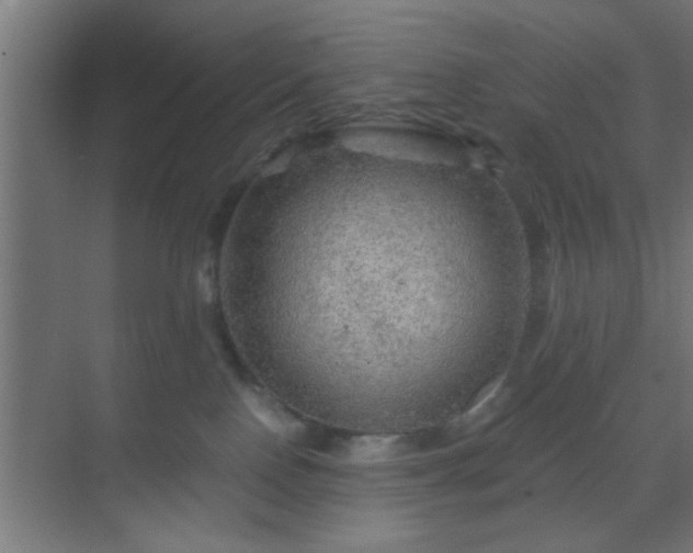 X0000069790090200605261708