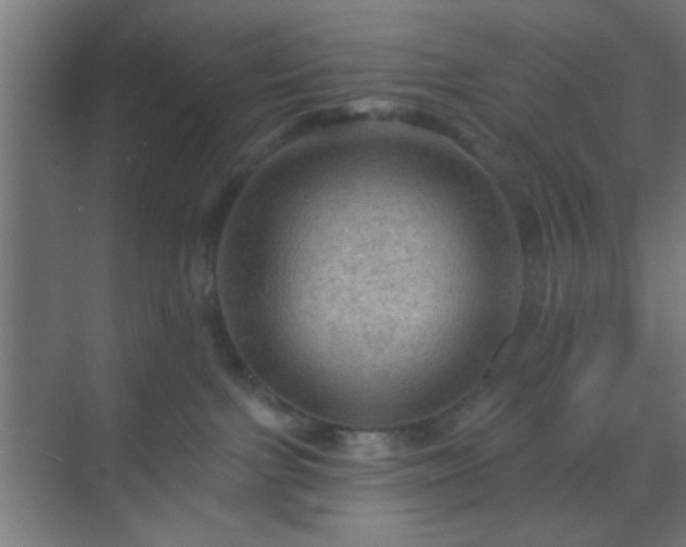 X0000069790091200605261708